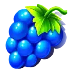 Symbol Grapes in Fruit Party